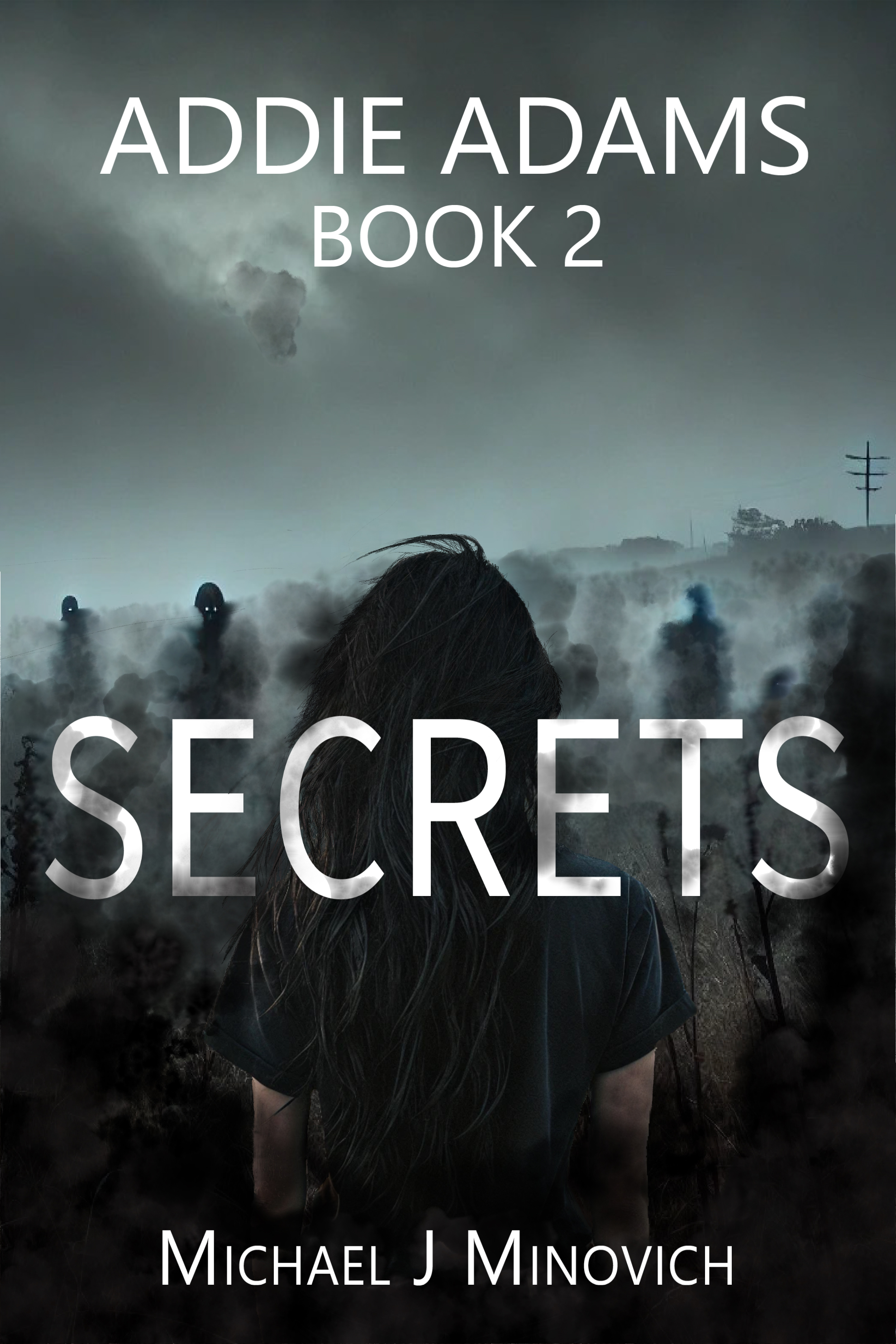 Addie Adams Book 2: Secrets